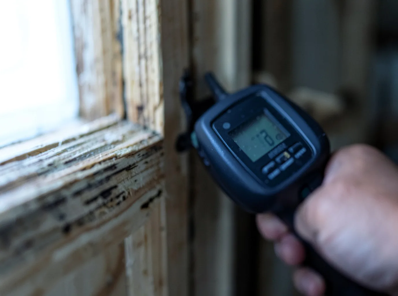 Ceiling Water Damage Repair in Idaho City, ID